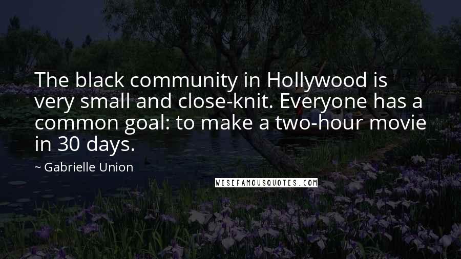 Gabrielle Union Quotes: The black community in Hollywood is very small and close-knit. Everyone has a common goal: to make a two-hour movie in 30 days.