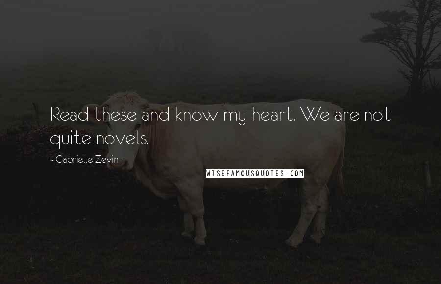 Gabrielle Zevin Quotes: Read these and know my heart. We are not quite novels.