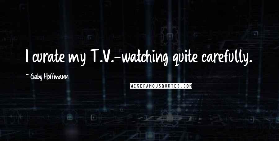 Gaby Hoffmann Quotes: I curate my T.V.-watching quite carefully.