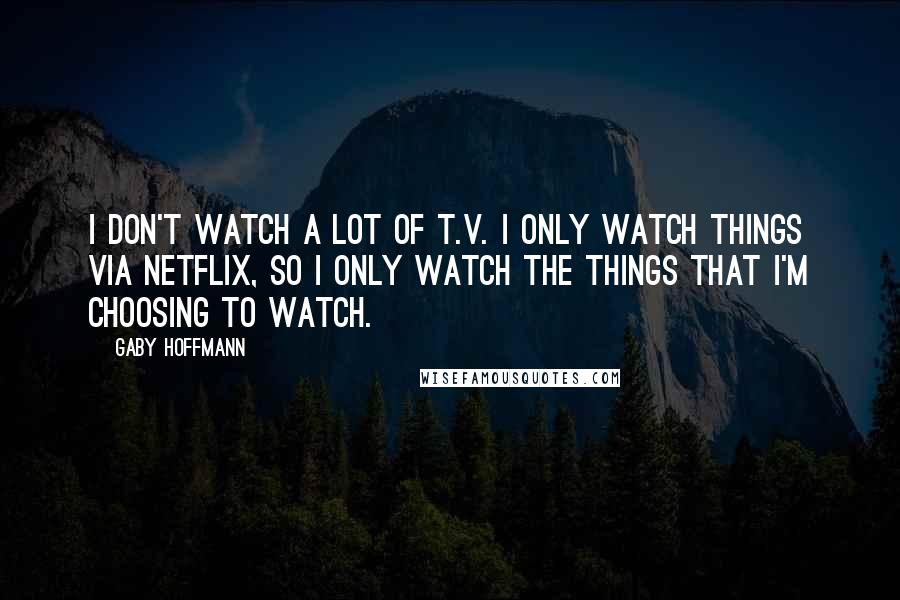 Gaby Hoffmann Quotes: I don't watch a lot of T.V. I only watch things via Netflix, so I only watch the things that I'm choosing to watch.