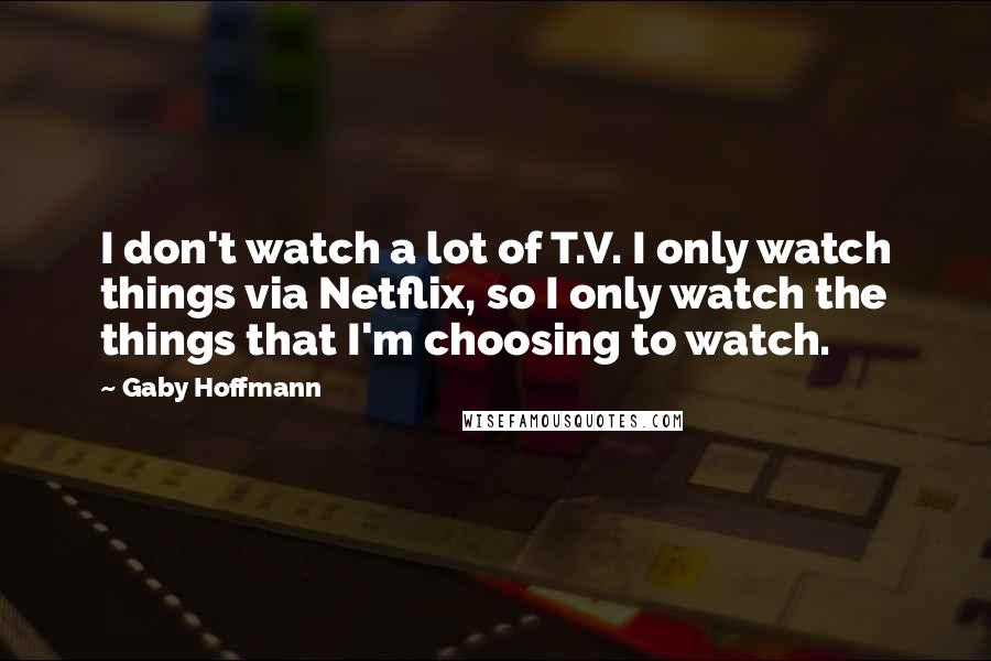 Gaby Hoffmann Quotes: I don't watch a lot of T.V. I only watch things via Netflix, so I only watch the things that I'm choosing to watch.