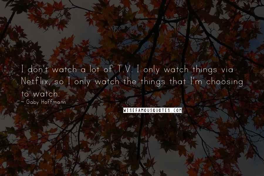 Gaby Hoffmann Quotes: I don't watch a lot of T.V. I only watch things via Netflix, so I only watch the things that I'm choosing to watch.