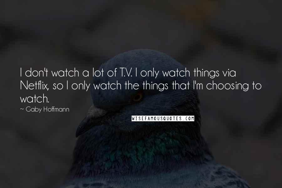 Gaby Hoffmann Quotes: I don't watch a lot of T.V. I only watch things via Netflix, so I only watch the things that I'm choosing to watch.