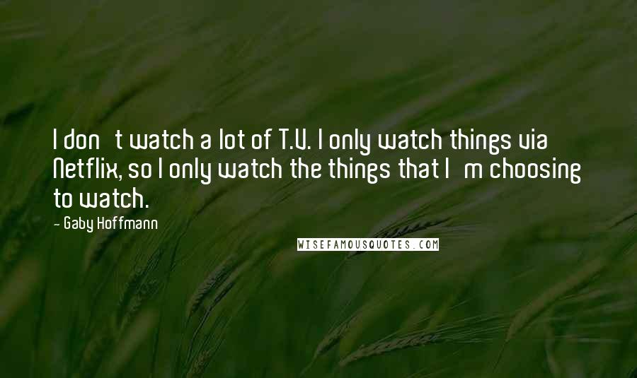 Gaby Hoffmann Quotes: I don't watch a lot of T.V. I only watch things via Netflix, so I only watch the things that I'm choosing to watch.