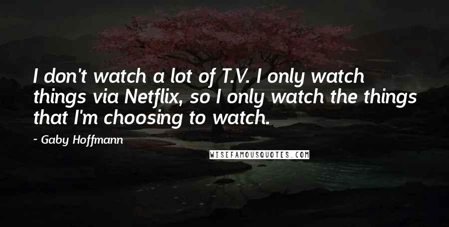 Gaby Hoffmann Quotes: I don't watch a lot of T.V. I only watch things via Netflix, so I only watch the things that I'm choosing to watch.