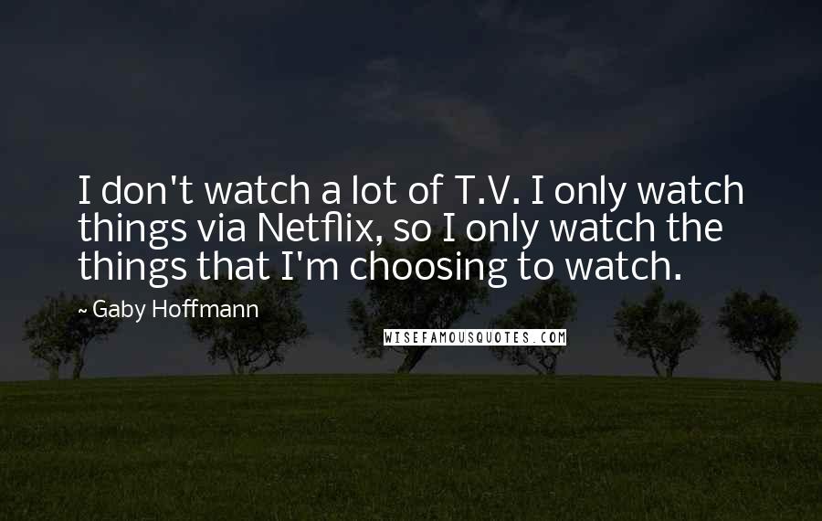 Gaby Hoffmann Quotes: I don't watch a lot of T.V. I only watch things via Netflix, so I only watch the things that I'm choosing to watch.