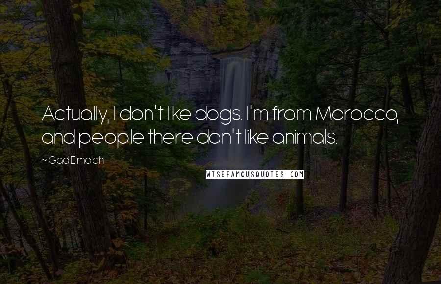 Gad Elmaleh Quotes: Actually, I don't like dogs. I'm from Morocco, and people there don't like animals.