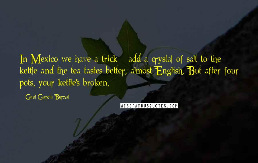 Gael Garcia Bernal Quotes: In Mexico we have a trick - add a crystal of salt to the kettle and the tea tastes better, almost English. But after four pots, your kettle's broken.
