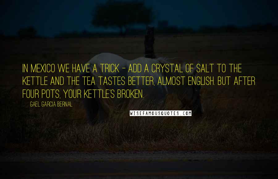 Gael Garcia Bernal Quotes: In Mexico we have a trick - add a crystal of salt to the kettle and the tea tastes better, almost English. But after four pots, your kettle's broken.