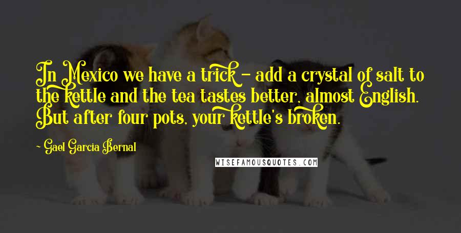Gael Garcia Bernal Quotes: In Mexico we have a trick - add a crystal of salt to the kettle and the tea tastes better, almost English. But after four pots, your kettle's broken.