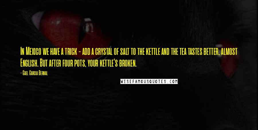 Gael Garcia Bernal Quotes: In Mexico we have a trick - add a crystal of salt to the kettle and the tea tastes better, almost English. But after four pots, your kettle's broken.