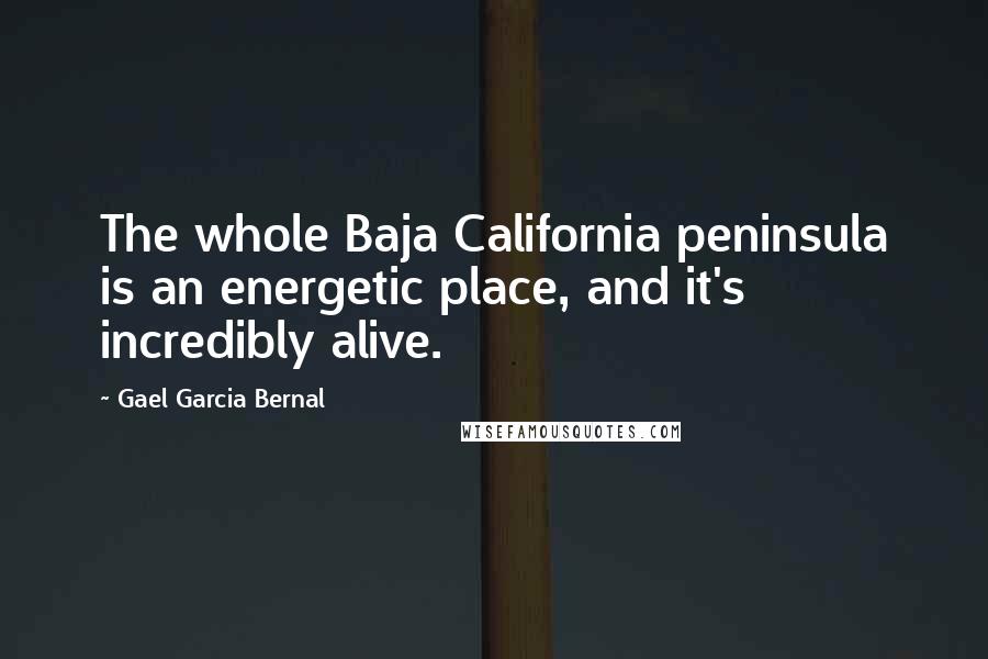 Gael Garcia Bernal Quotes: The whole Baja California peninsula is an energetic place, and it's incredibly alive.