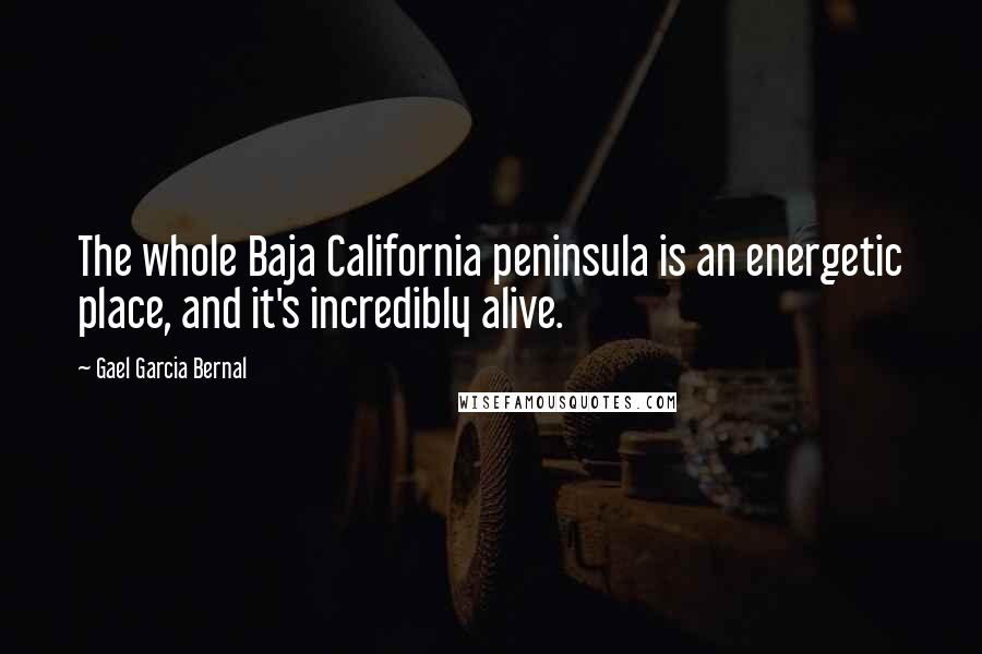 Gael Garcia Bernal Quotes: The whole Baja California peninsula is an energetic place, and it's incredibly alive.