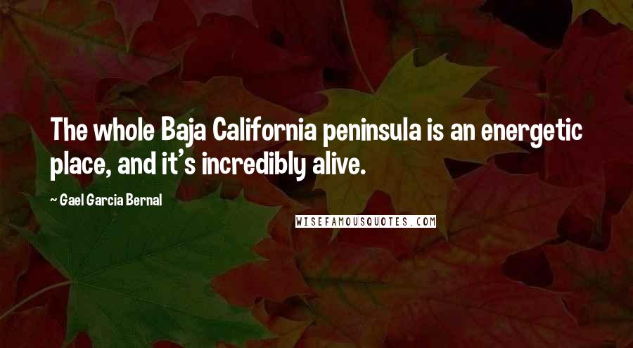Gael Garcia Bernal Quotes: The whole Baja California peninsula is an energetic place, and it's incredibly alive.