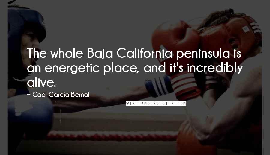 Gael Garcia Bernal Quotes: The whole Baja California peninsula is an energetic place, and it's incredibly alive.