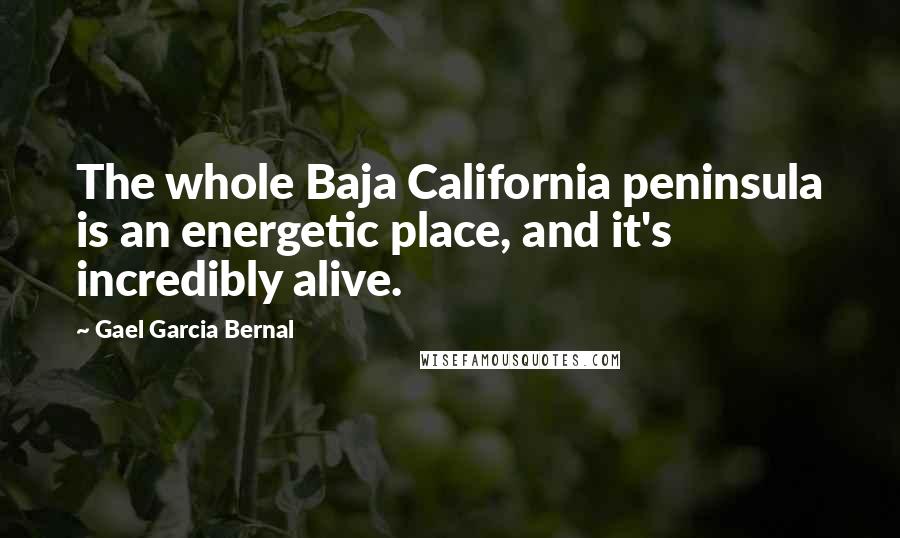 Gael Garcia Bernal Quotes: The whole Baja California peninsula is an energetic place, and it's incredibly alive.