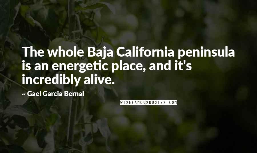 Gael Garcia Bernal Quotes: The whole Baja California peninsula is an energetic place, and it's incredibly alive.