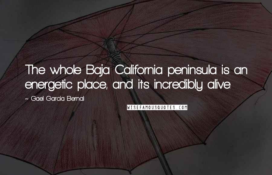 Gael Garcia Bernal Quotes: The whole Baja California peninsula is an energetic place, and it's incredibly alive.