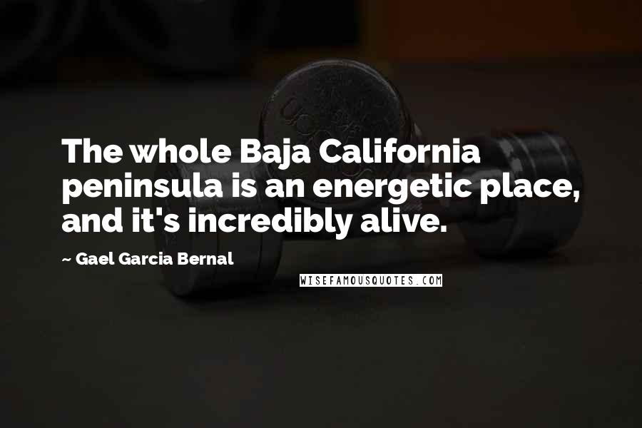 Gael Garcia Bernal Quotes: The whole Baja California peninsula is an energetic place, and it's incredibly alive.