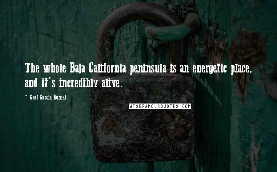 Gael Garcia Bernal Quotes: The whole Baja California peninsula is an energetic place, and it's incredibly alive.