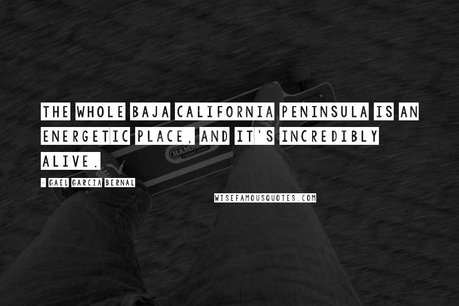 Gael Garcia Bernal Quotes: The whole Baja California peninsula is an energetic place, and it's incredibly alive.