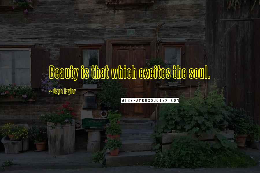 Gage Taylor Quotes: Beauty is that which excites the soul.