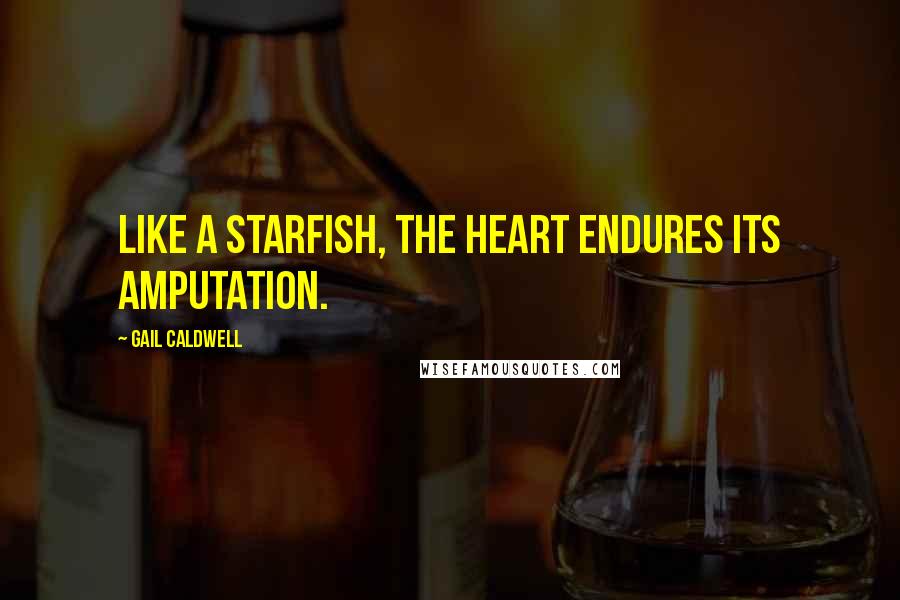 Gail Caldwell Quotes: Like a starfish, the heart endures its amputation.