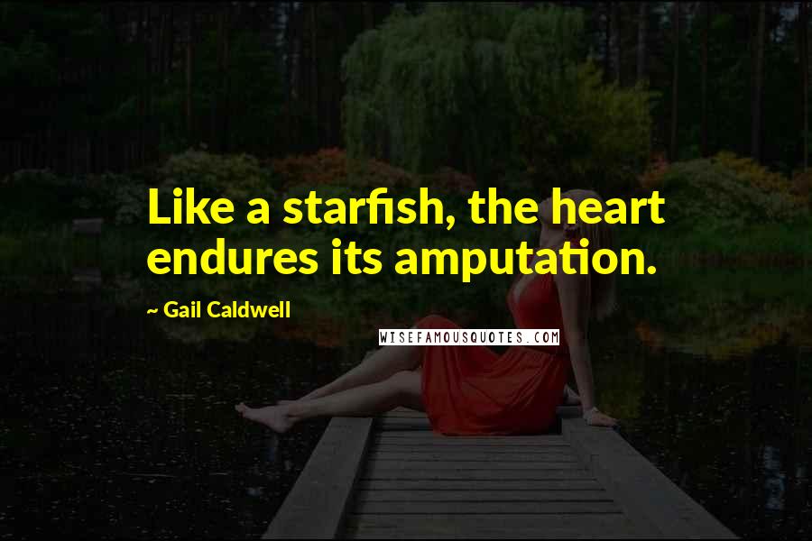 Gail Caldwell Quotes: Like a starfish, the heart endures its amputation.