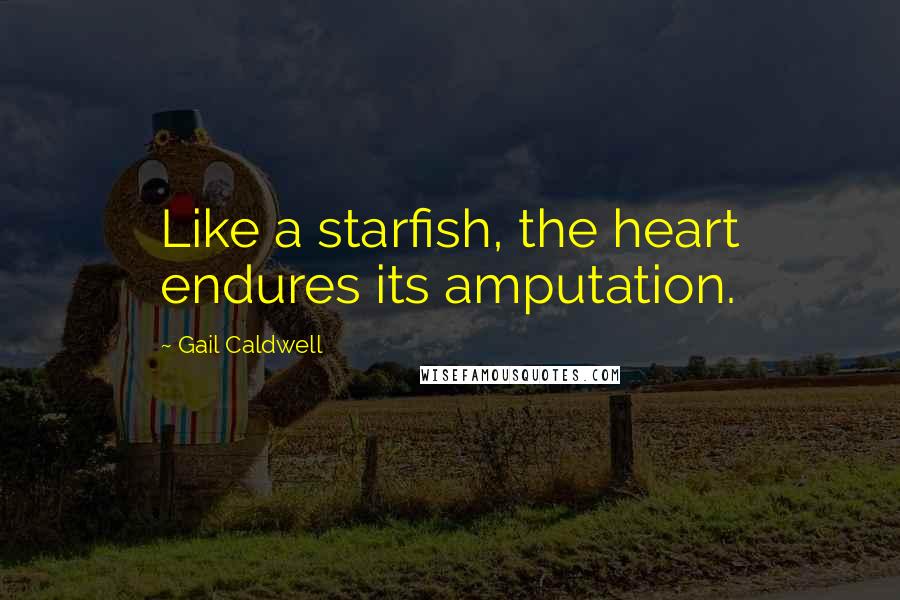 Gail Caldwell Quotes: Like a starfish, the heart endures its amputation.