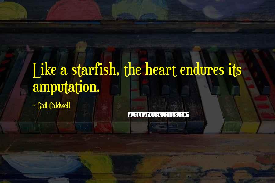 Gail Caldwell Quotes: Like a starfish, the heart endures its amputation.