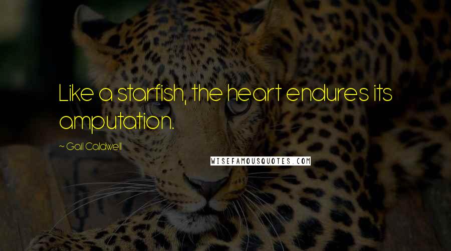 Gail Caldwell Quotes: Like a starfish, the heart endures its amputation.