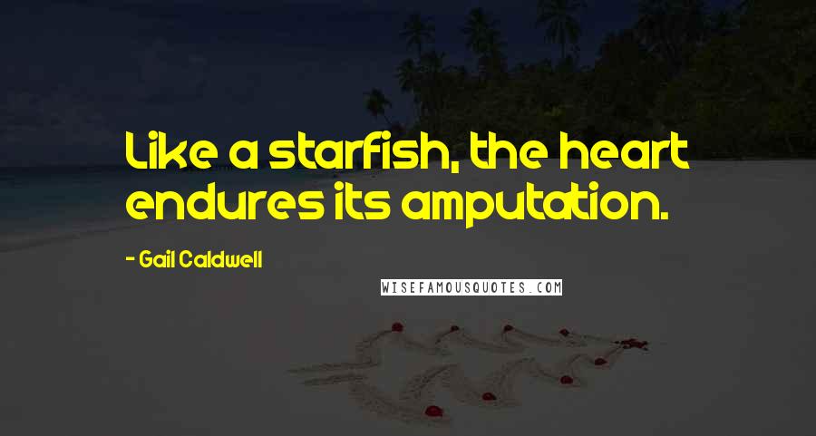 Gail Caldwell Quotes: Like a starfish, the heart endures its amputation.