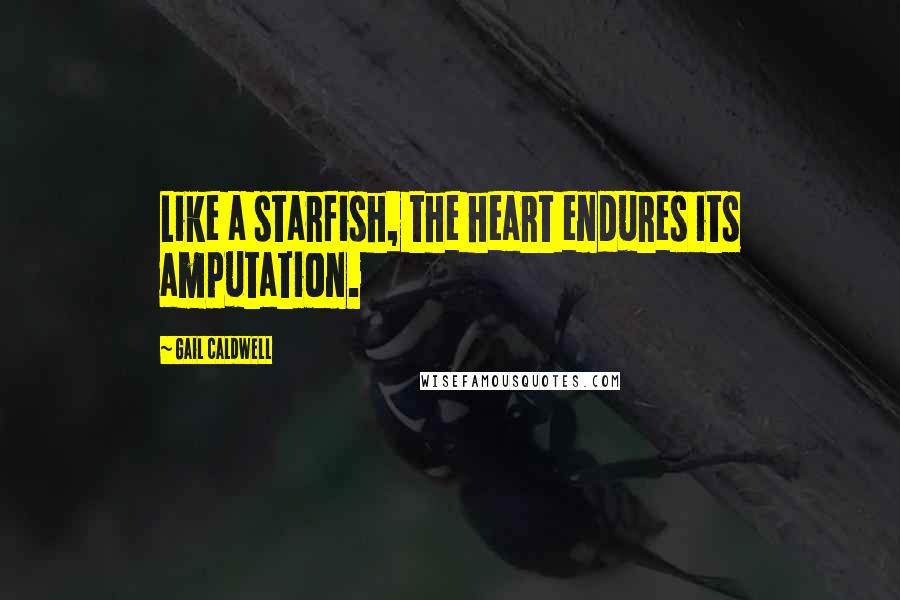 Gail Caldwell Quotes: Like a starfish, the heart endures its amputation.