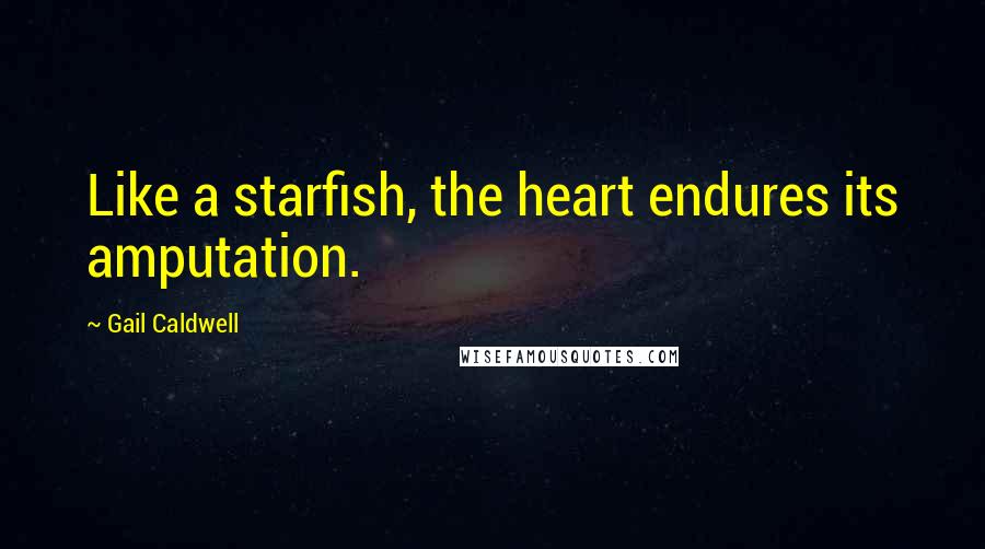 Gail Caldwell Quotes: Like a starfish, the heart endures its amputation.