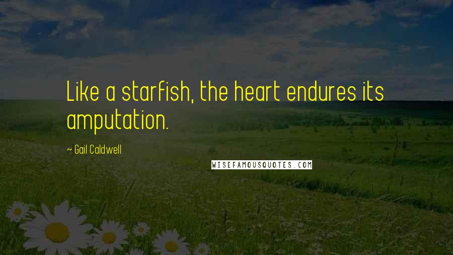 Gail Caldwell Quotes: Like a starfish, the heart endures its amputation.