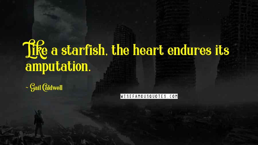 Gail Caldwell Quotes: Like a starfish, the heart endures its amputation.