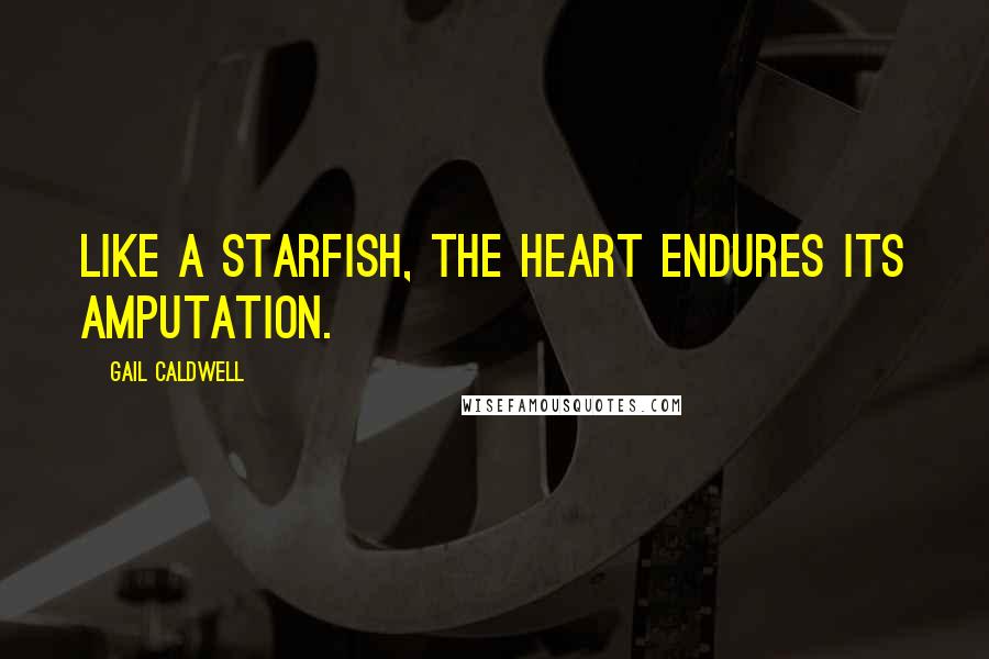 Gail Caldwell Quotes: Like a starfish, the heart endures its amputation.