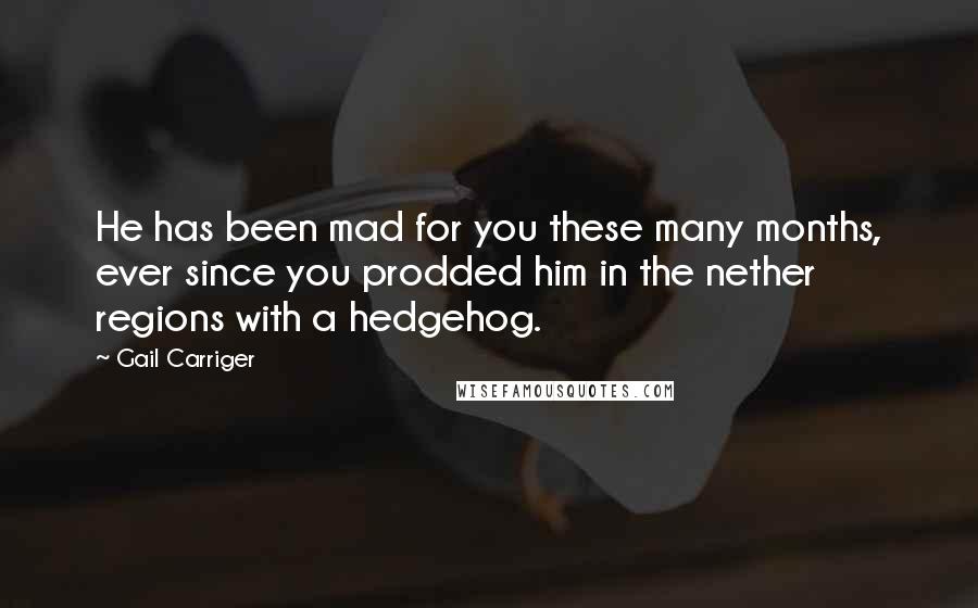 Gail Carriger Quotes: He has been mad for you these many months, ever since you prodded him in the nether regions with a hedgehog.