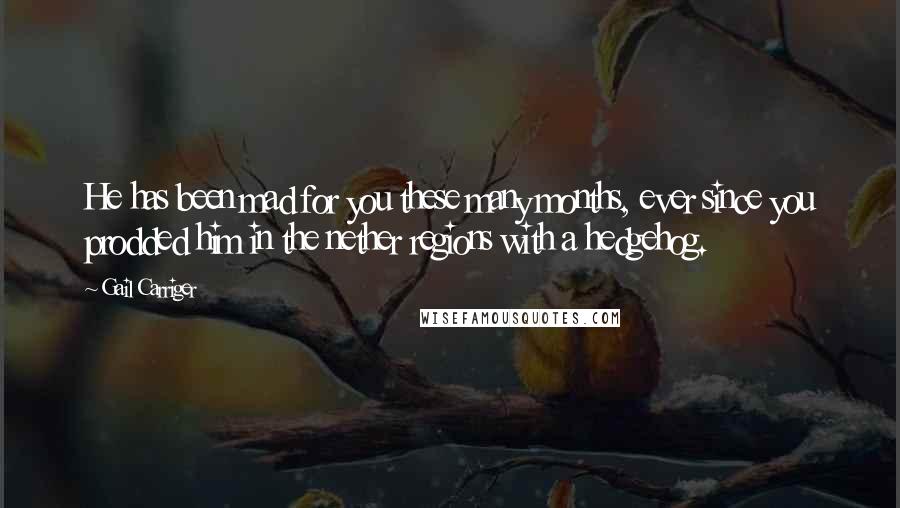 Gail Carriger Quotes: He has been mad for you these many months, ever since you prodded him in the nether regions with a hedgehog.