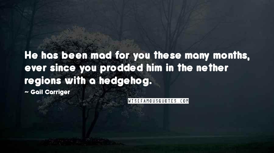 Gail Carriger Quotes: He has been mad for you these many months, ever since you prodded him in the nether regions with a hedgehog.