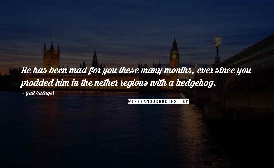 Gail Carriger Quotes: He has been mad for you these many months, ever since you prodded him in the nether regions with a hedgehog.