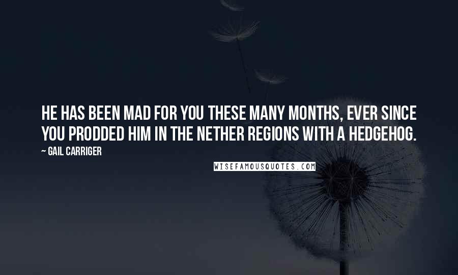 Gail Carriger Quotes: He has been mad for you these many months, ever since you prodded him in the nether regions with a hedgehog.