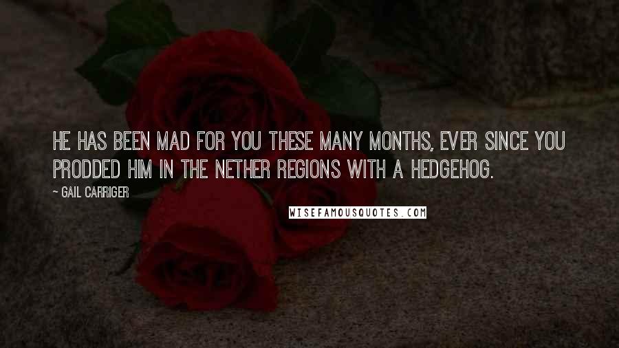 Gail Carriger Quotes: He has been mad for you these many months, ever since you prodded him in the nether regions with a hedgehog.