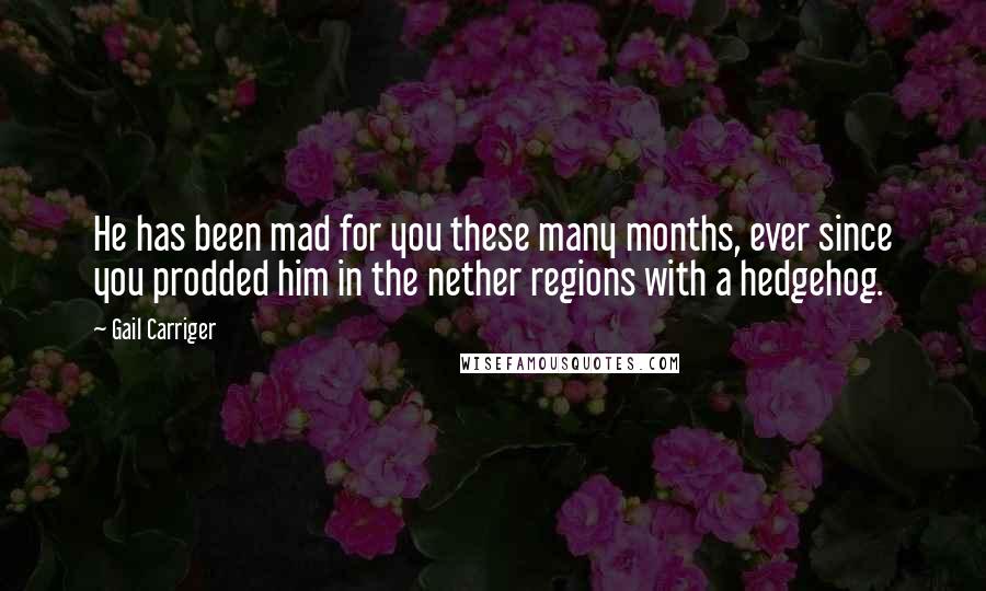 Gail Carriger Quotes: He has been mad for you these many months, ever since you prodded him in the nether regions with a hedgehog.