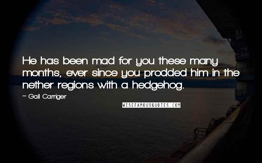 Gail Carriger Quotes: He has been mad for you these many months, ever since you prodded him in the nether regions with a hedgehog.