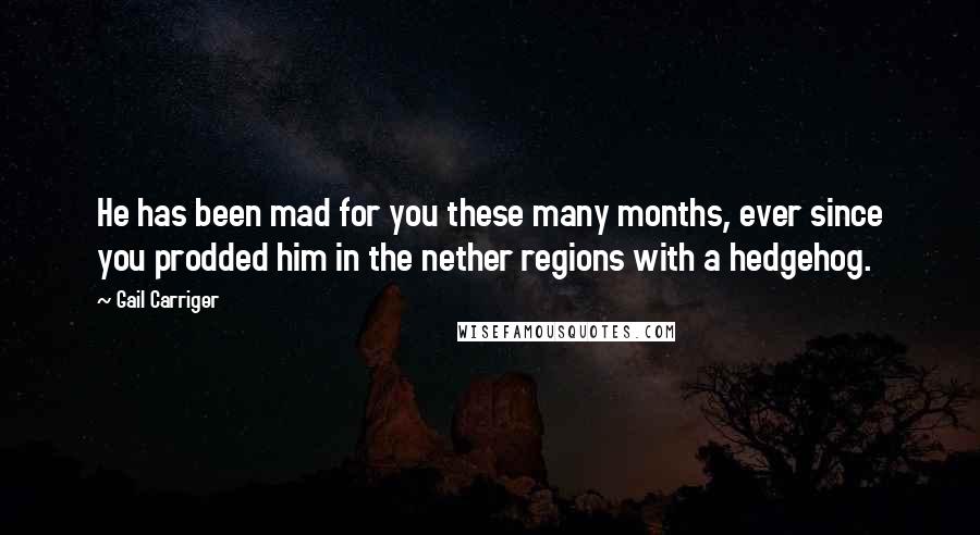 Gail Carriger Quotes: He has been mad for you these many months, ever since you prodded him in the nether regions with a hedgehog.