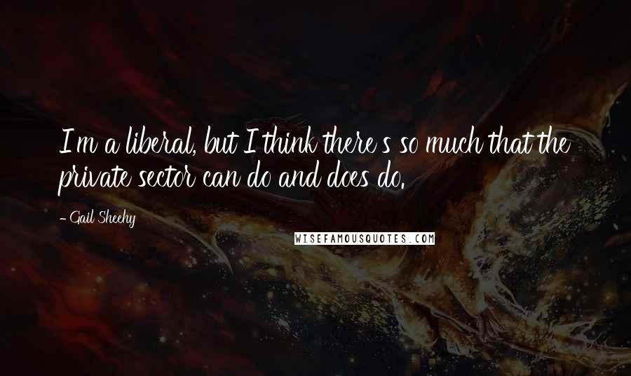 Gail Sheehy Quotes: I'm a liberal, but I think there's so much that the private sector can do and does do.