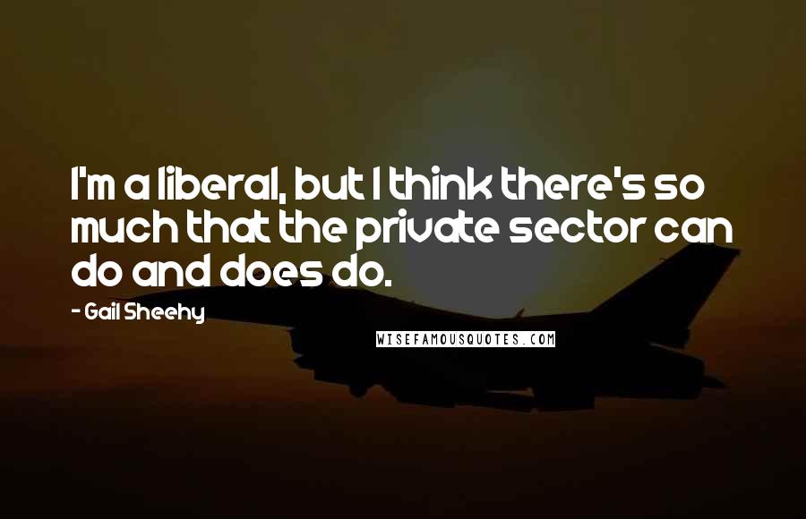 Gail Sheehy Quotes: I'm a liberal, but I think there's so much that the private sector can do and does do.