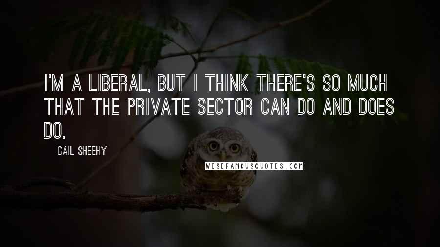Gail Sheehy Quotes: I'm a liberal, but I think there's so much that the private sector can do and does do.