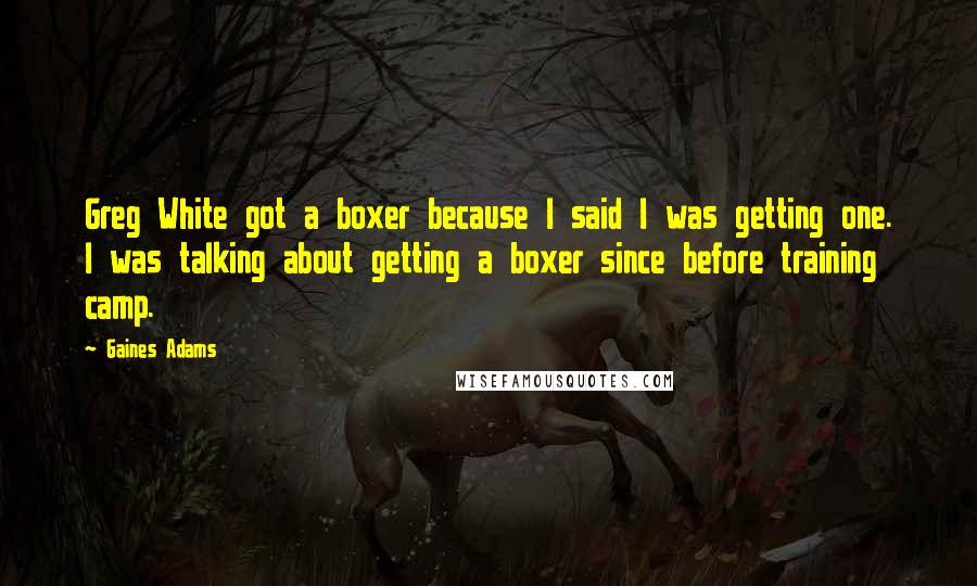 Gaines Adams Quotes: Greg White got a boxer because I said I was getting one. I was talking about getting a boxer since before training camp.